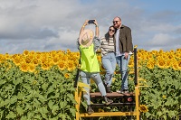 Kalbar Sunflowers.jpg