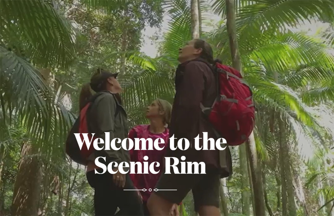 Scenic Rim Native Beef Visit Scenic Rim | Scenic Rim Regional Council