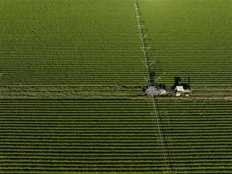 2025_JUNE_SRRC_LG_HIGHRES_Kalbar Area - Agriculture_DJI_0870.jpg