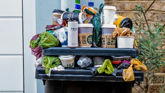 Overfull_bin.jpg