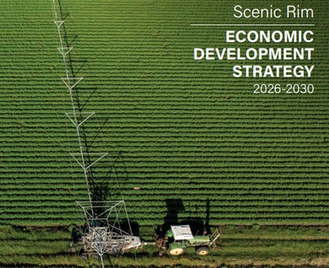 Economic development strategy