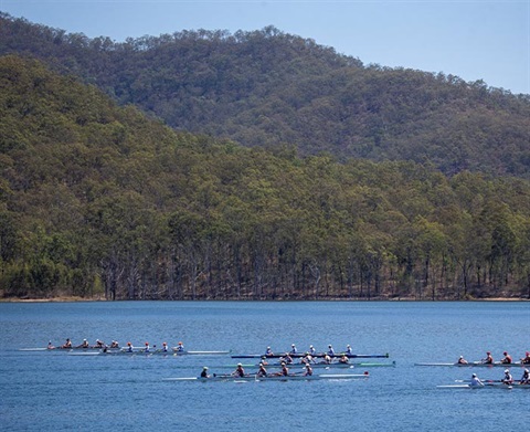 Rowing Lake Wyaralong