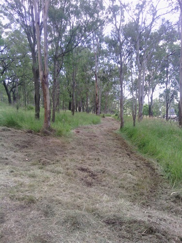 Fire_trail_1.jpg