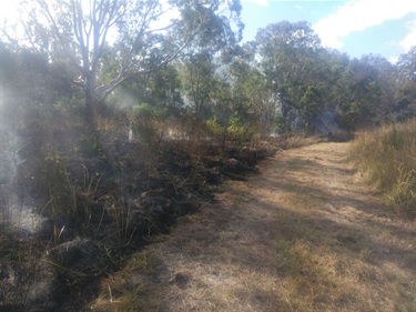Reducing_fuel_loads_kooralbyn.jpg