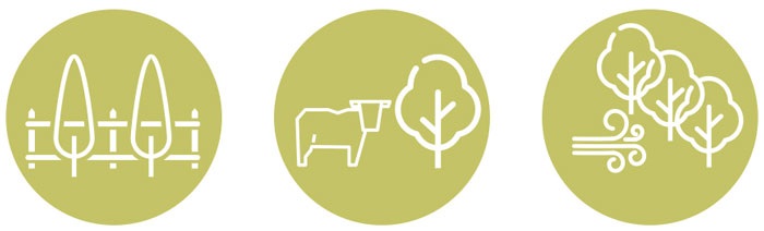 Rural_Trees_Icons.jpg