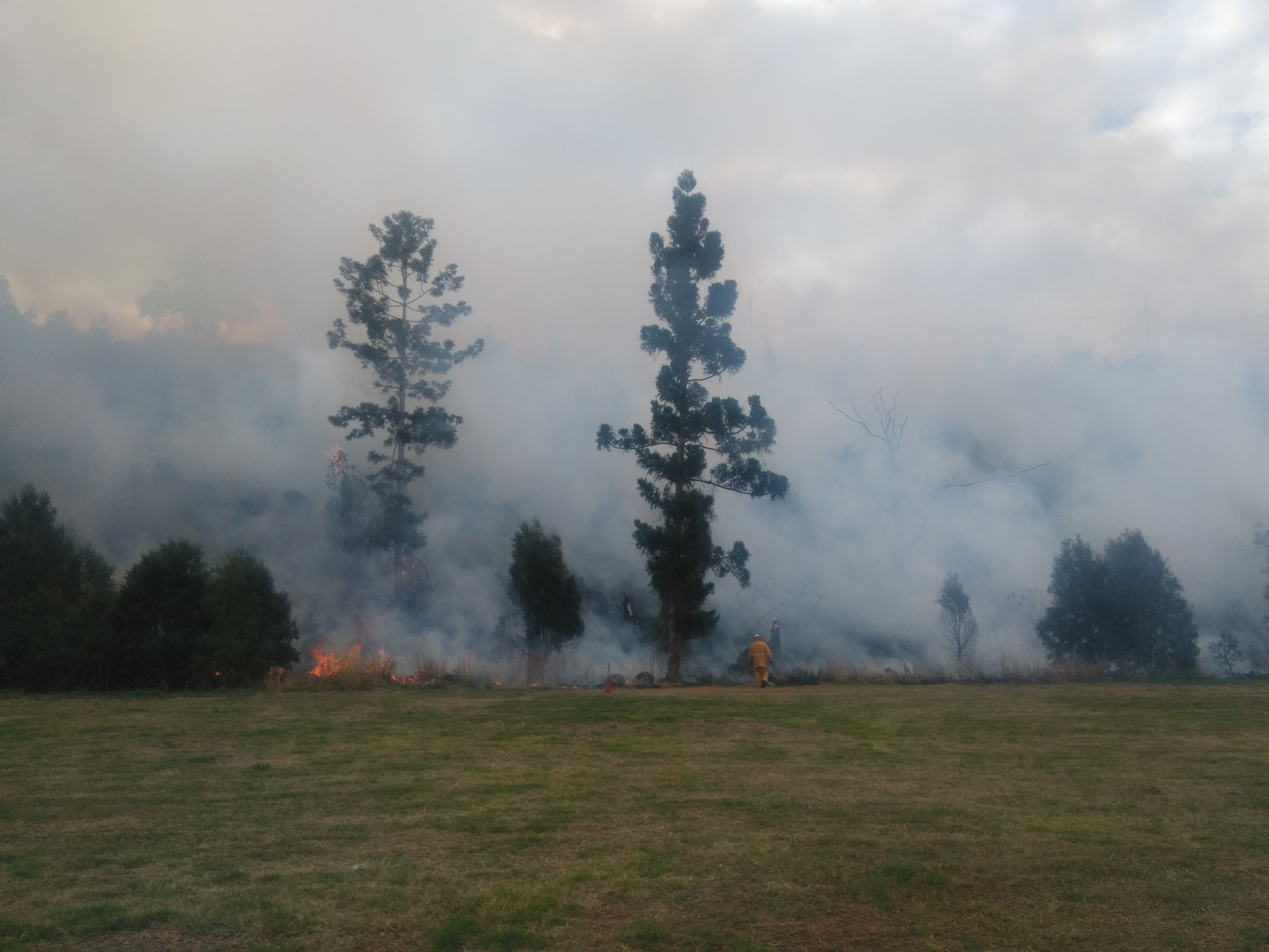 Image of controlled burn at Mt Carmel