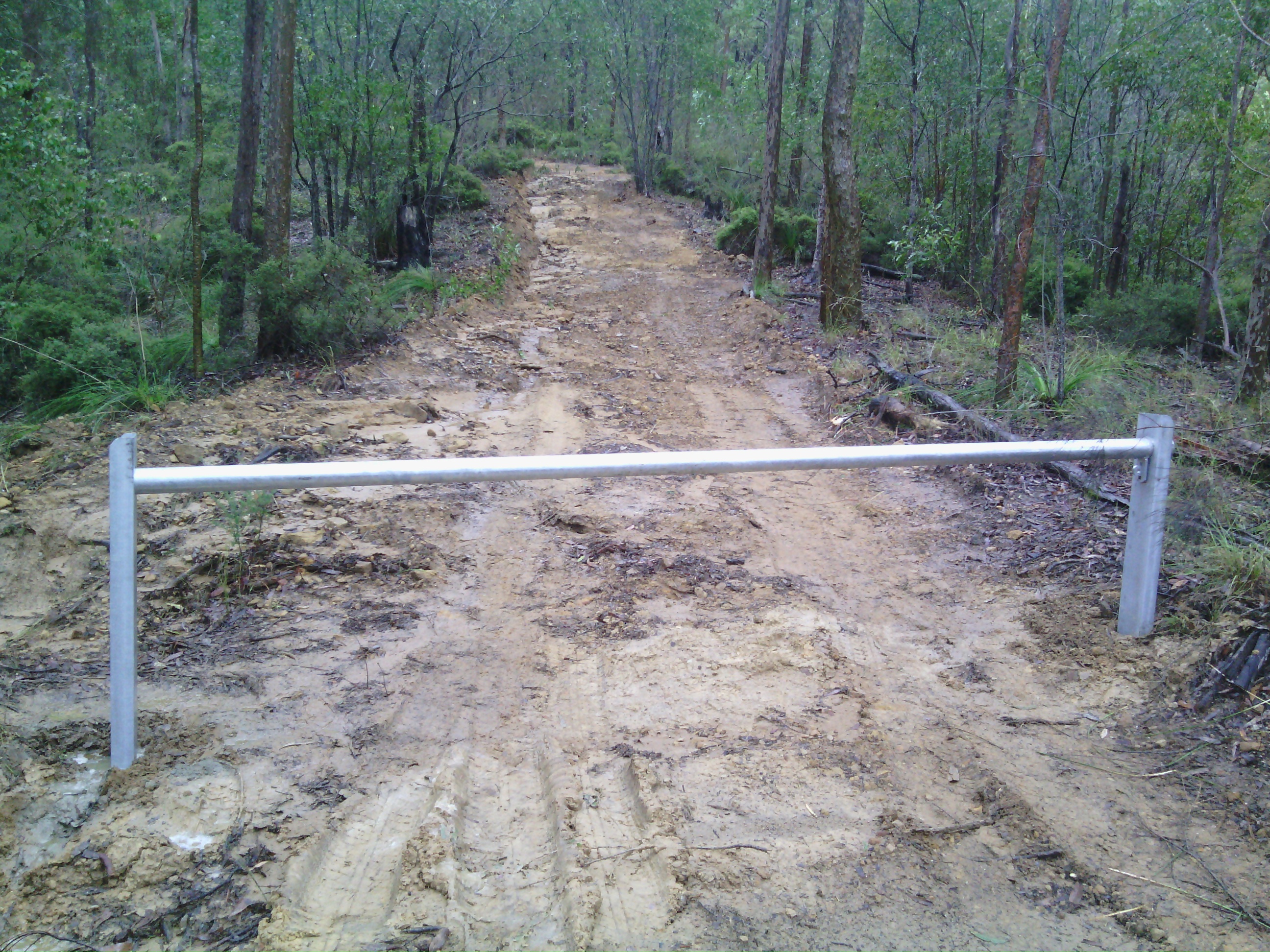 Image of fire trail