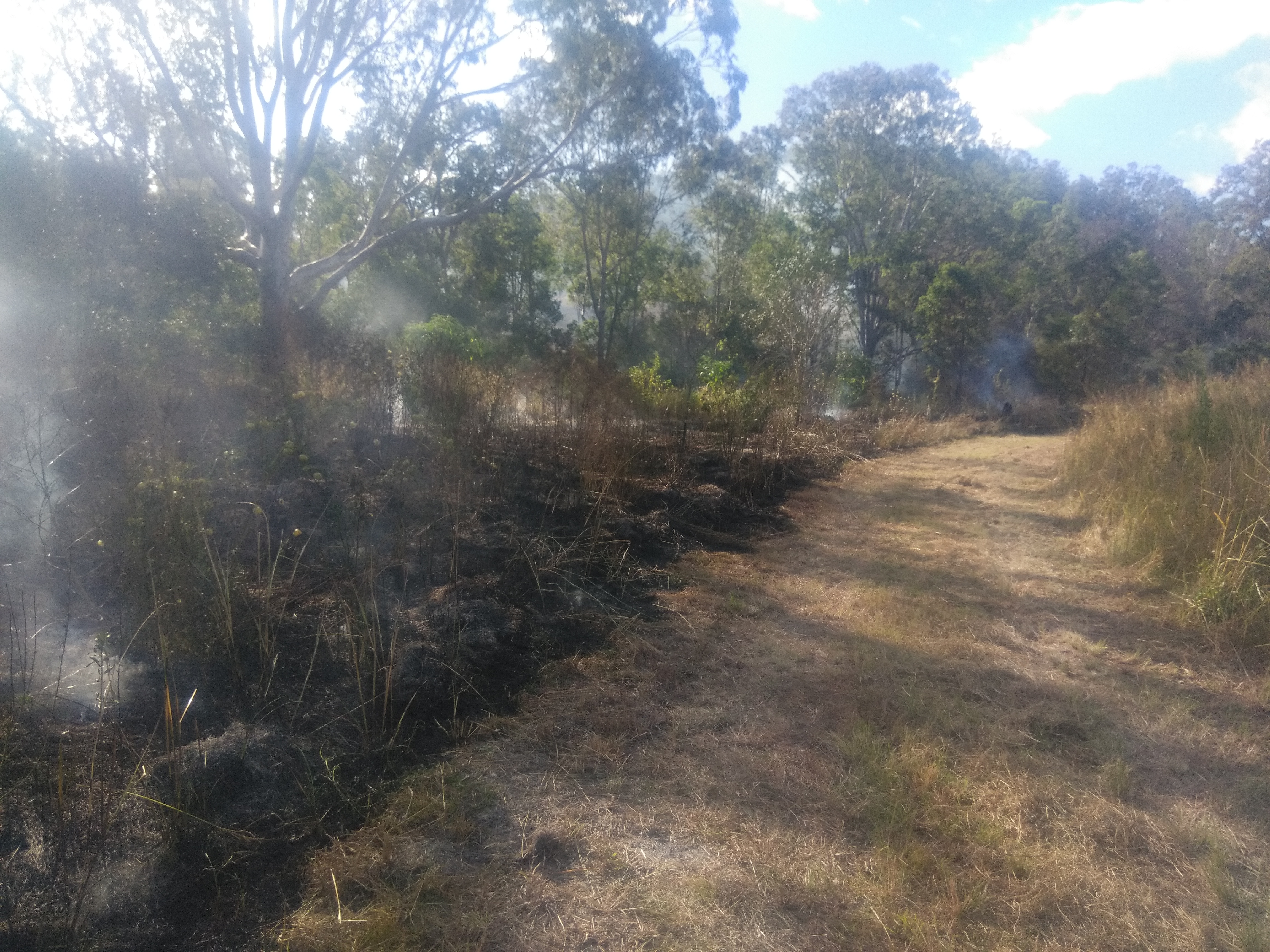 Reducing fuel loads at Kooralbyn