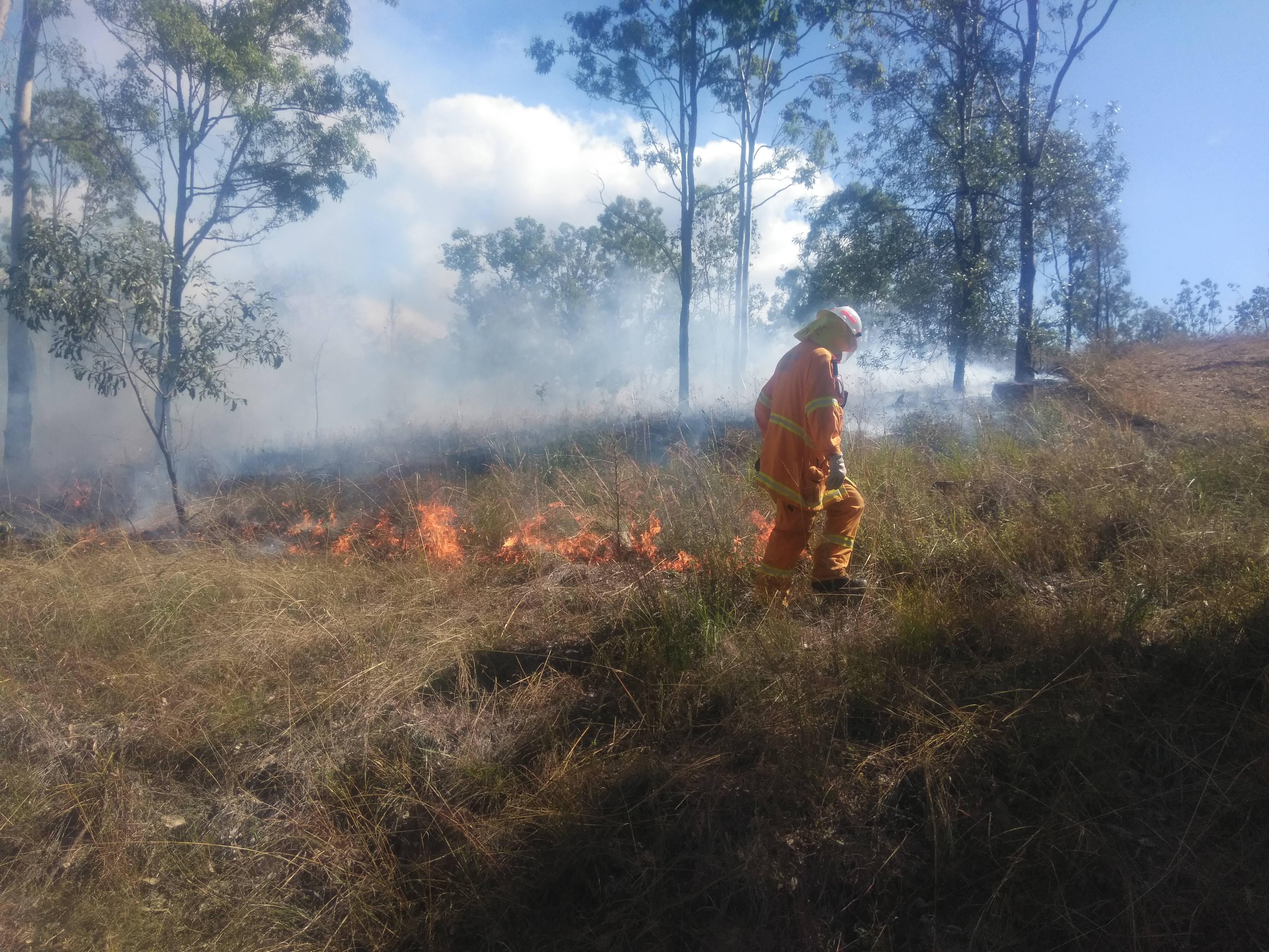 Image of a controlled burn