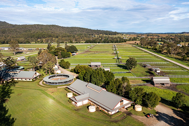 Aquis Farm