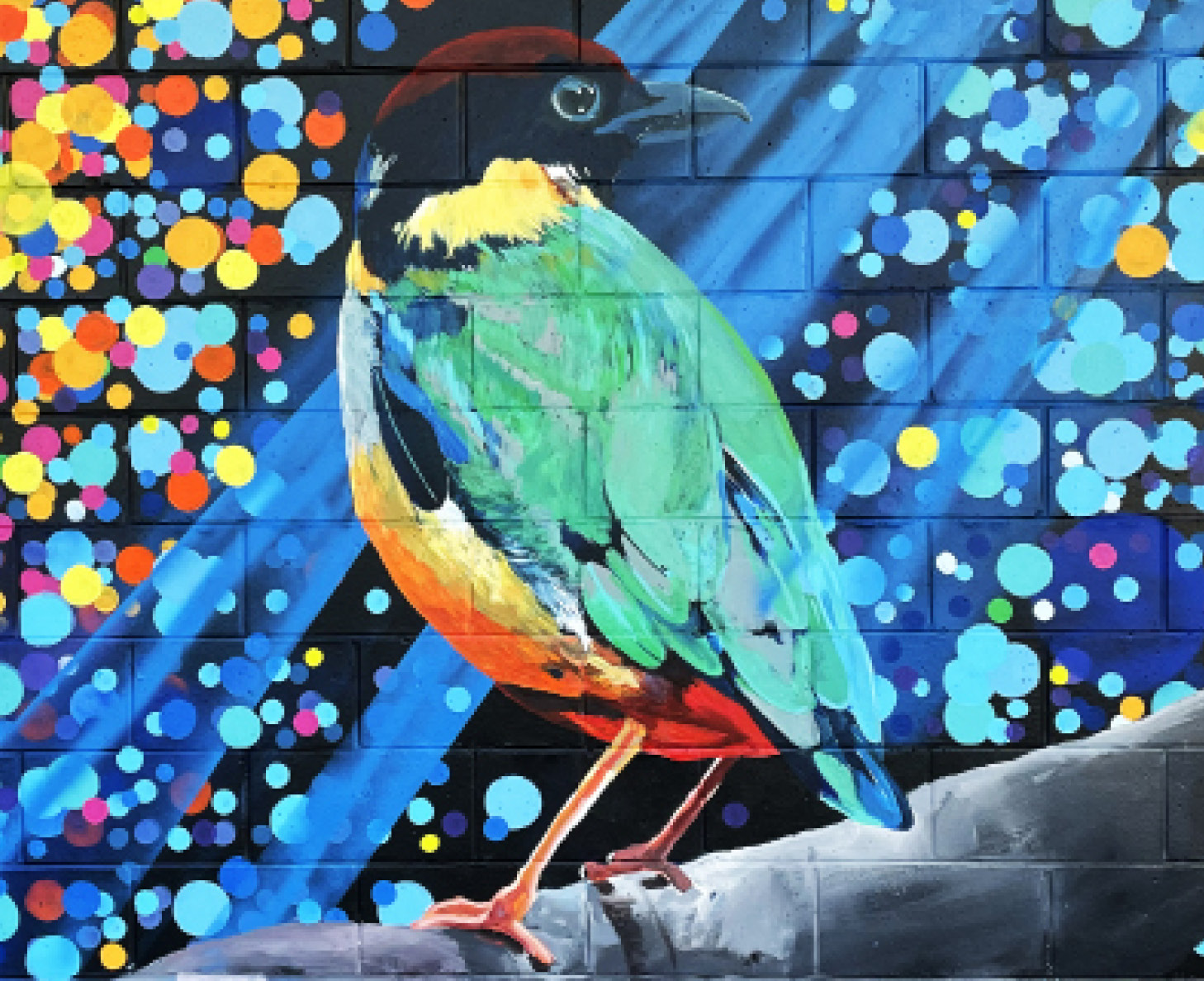 Bird mural