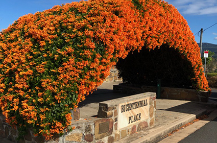 Bicentennial lookout boonah 425 x 280