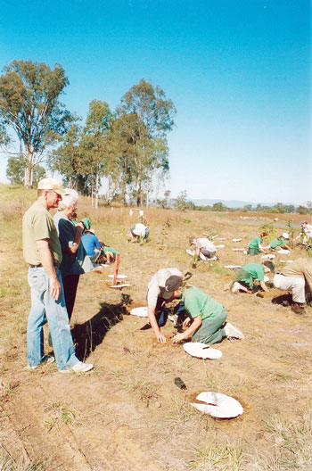 Community trees image