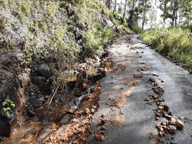 Head Road at Carney's Creek