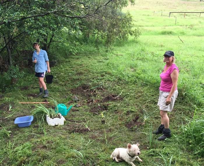 Image of Fletcher family's first million trees planting in 2015