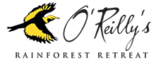 O'Reilly's Rainforest Retreat Logo