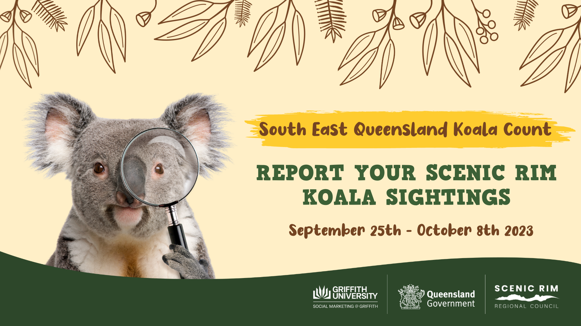 koalas