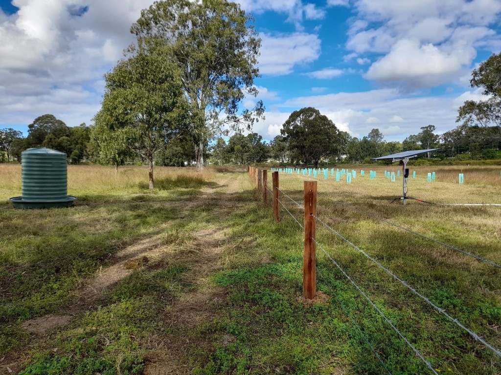 Stock Fencing