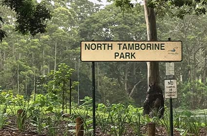 Image of North Tamborine Park